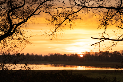 Voorbeeld