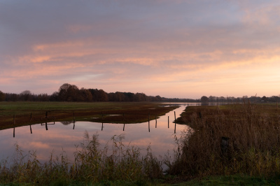 Voorbeeld