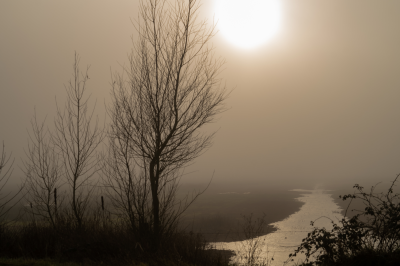 Voorbeeld
