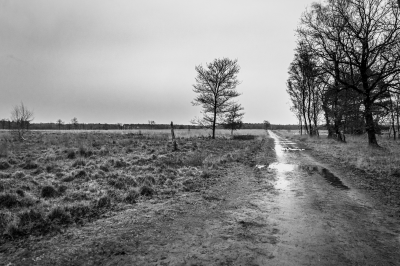 Voorbeeld