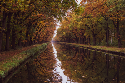 Voorbeeld